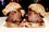 07_Il-Buco_Short-Rib-Sandwich_Credit_IlBuco