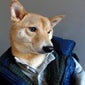 menswear-dog-open