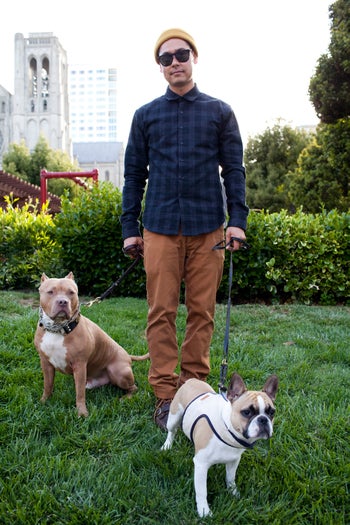 san francisco dogs