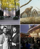 Not-Your-Average NYC Adventures