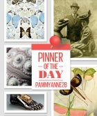 Pinterest Star Of The Day: Pamela's "Cabinet of Curiosities" Opener_pamela