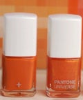 pantone-body