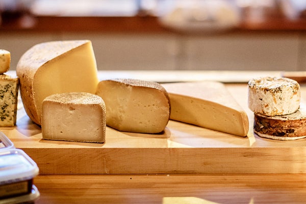 cheese