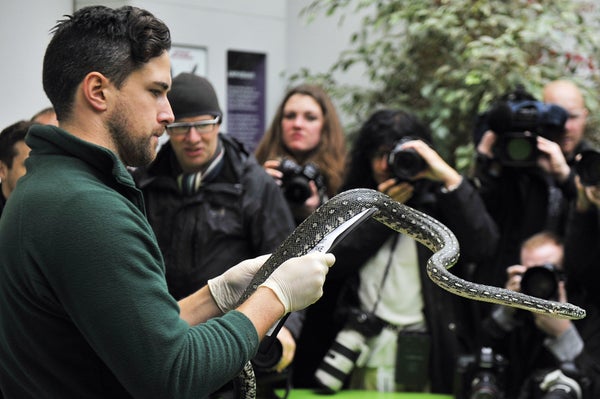 london-zoo-4