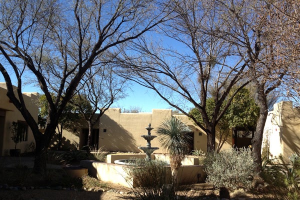 arizona6