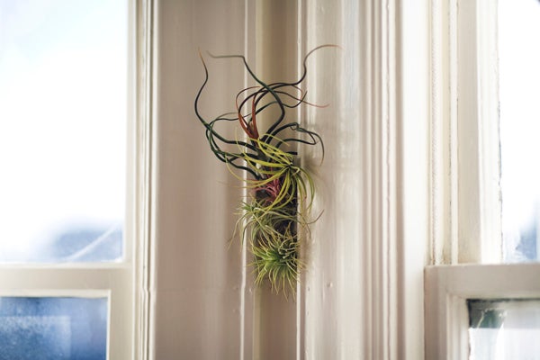 diy gardening project