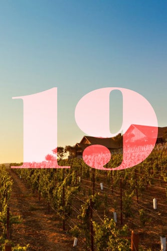 19_Wine