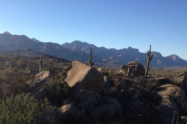 arizona2