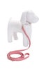 oscar_de_la_renta_leash