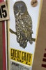 owl 1