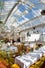 01_HornimanMuseum_HALI387