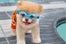 GLeMaistreBoo-7670_sized