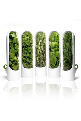 all-modern-herbs