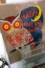 owl 23