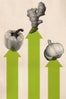 metabolism_4