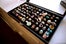 Corri_mcfadden_013