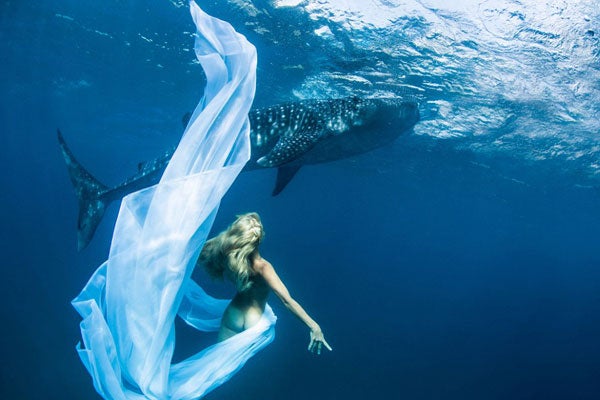 Giant+Whale+Shark And Now...Here's A Fashion Shoot With Giant Whale Sharks