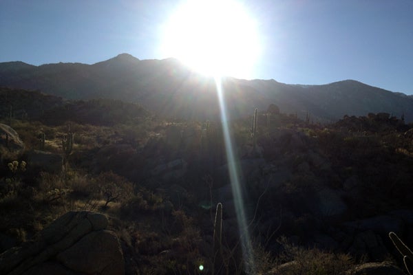arizona1