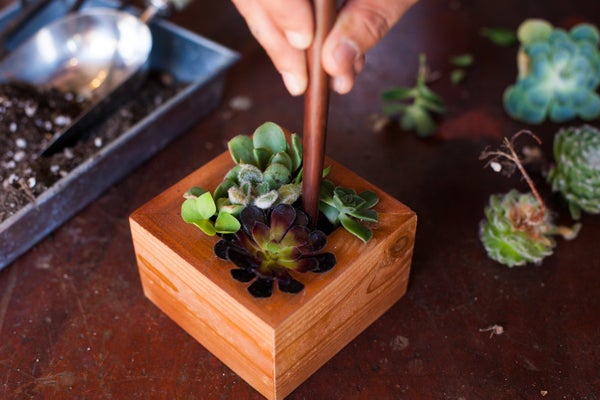 07_VERTICAL_GARDEN_STEP_5