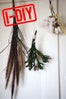 diy gardening project
