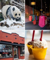 Woodley Park 101: Where To Eat, Shop & Explore In This So-Pretty 'Hood DC_WoodlyPark_opener