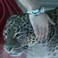 Jewels-Cartiers-Short-Film-LOdyssee-de-Cartier