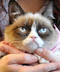 grumpy