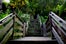 Filbert_Steps_002