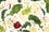 kale_smoothie_041_600x400