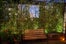GALLOW_GREEN_Wagtouicz_19