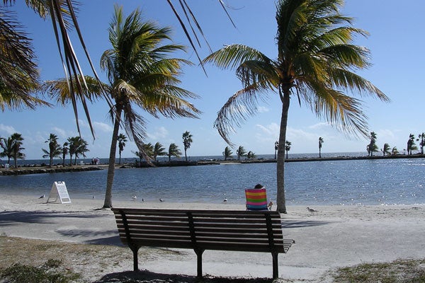 beaches