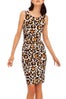 Leopard Print Dress