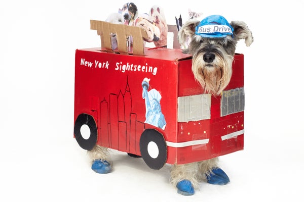 53_Gonzalex_Nacho_Schnauze