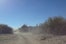 arizona4