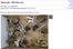 Craigslist_CHI_guns