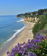 Catch A Wave (And A Tan) At L.A.'s Top 16 Beaches opener