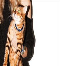 juicy-cats2