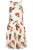 TopShop_RoseyPoseyDress_58slide