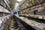 SIZED-daves_2604_Nclark_013