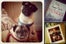 local instagrams