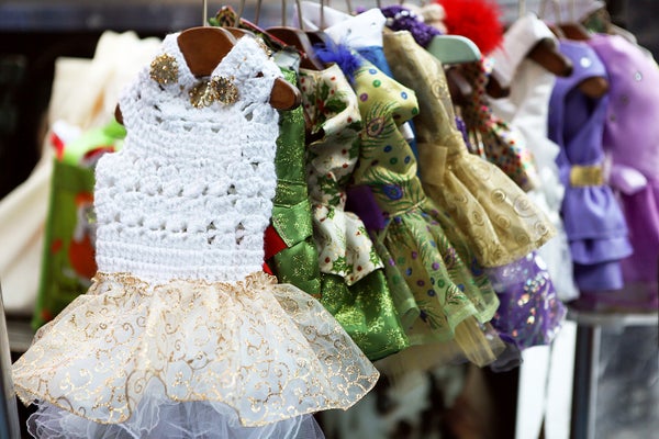 05_Ada's collection for sale