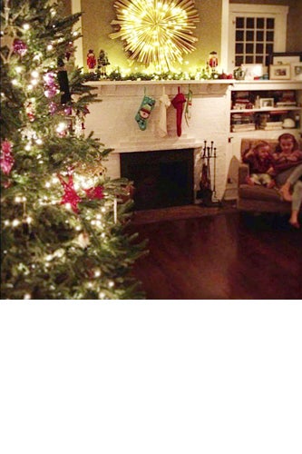 15_11-MelissaMaynard_slide