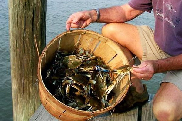 Crabbing_Courtesy-Lets-Go-Crabbing
