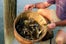 Crabbing_Courtesy-Lets-Go-Crabbing