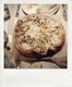 07_FaveABCKitchen