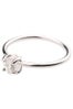 Bario-Neal-Kalmia-Ring_Bario-Neal_2052