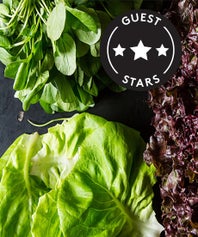 OpenerFood52StoreGreens