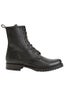 frye_FINAL