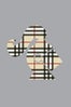 05_Burberry