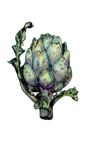 ARTICHOKE